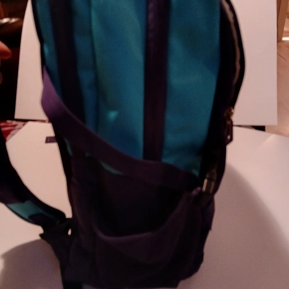 Magellan Outdoors Blue and Purple Backpack with Structured Design. Very Nice!!